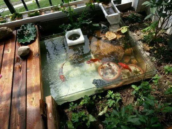 在阳台上砌一个鱼池可拉风了让外人一看就觉得你是个土豪