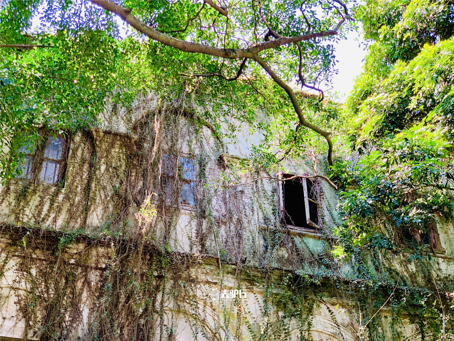 荒废的鼓浪屿豪宅:价值成千万上亿元,原主人却不知去了何处