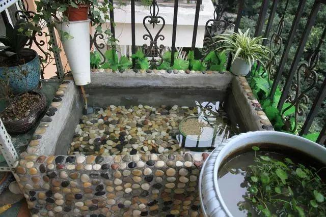 在阳台上砌一个鱼池可拉风了让外人一看就觉得你是个土豪