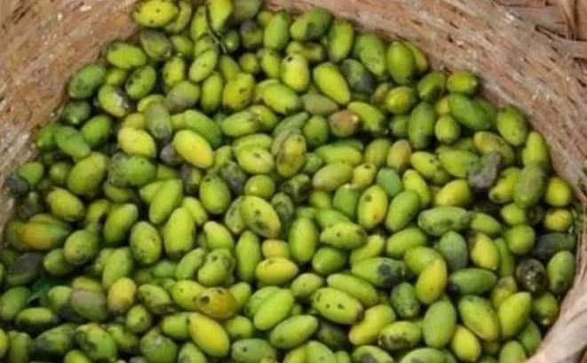 难吃,价值珍贵,市场价75一斤成稀罕物|橄榄|橄榄油|橄榄石_新浪新闻