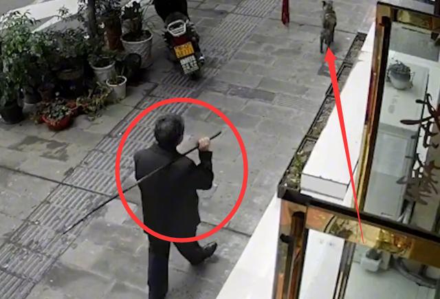 什么仇什么怨男子手持铁棍殴打无故打狗狗倒地惨叫几声后死亡