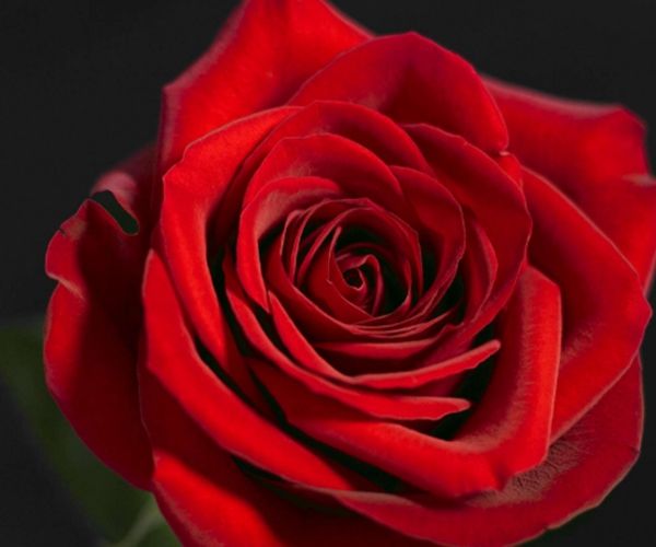 生日尾数是这几个数的人,命中藏财,财运旺盛,必定能够富贵一生