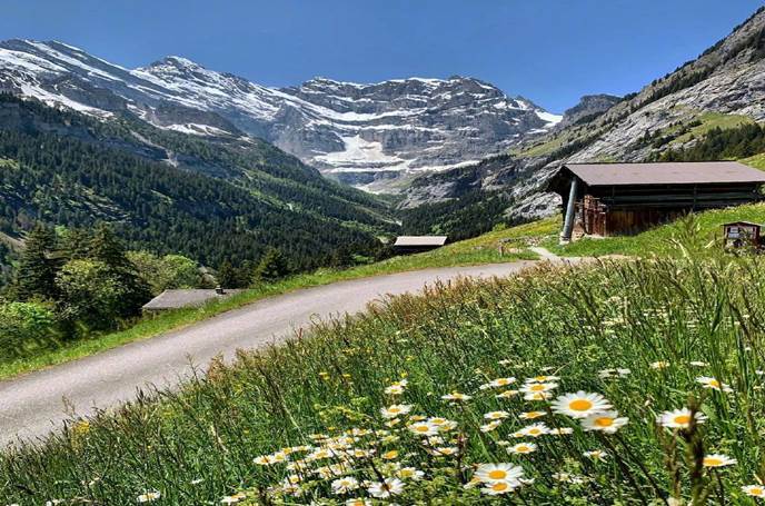 婚后幸福美满的三生肖女,儿女双全,老公宠爱婆媳关系融洽