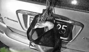 为了遮掩车牌这事，不法车主的脑洞到底有多大？