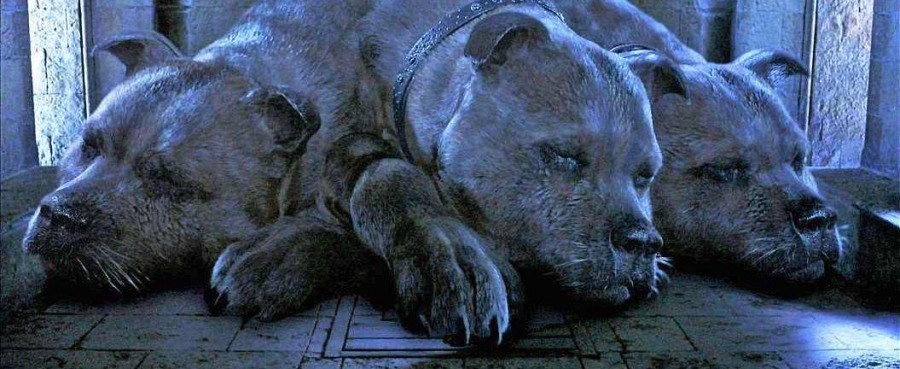 为了还原地狱犬,苏联进行惨无人道的实验,第一只双头犬诞生了