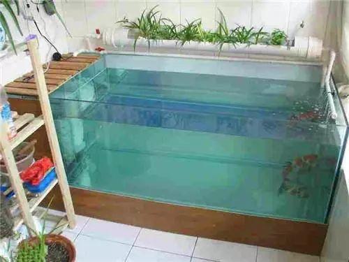 在阳台上砌一个鱼池可拉风了让外人一看就觉得你是个土豪