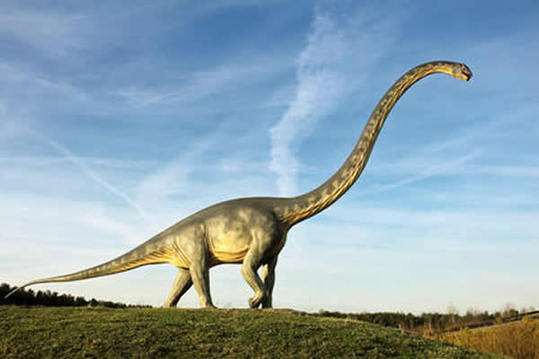 脖子最长的恐龙图片