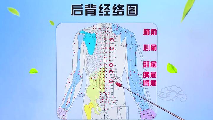 什么是后背经络图?_新浪新闻