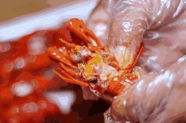 小龙虾脑袋里到底是"粪便"还是"虾黄"?吃货:总算明白了