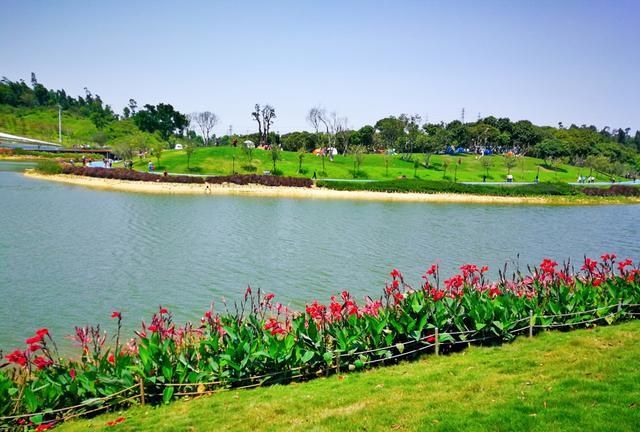 香山湖公园,珠海网红新地标,踏青,赏花,休闲好去处