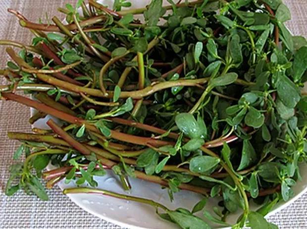 天然的滑胎药餐桌上经常见孕妈再馋也要忍住对胎儿不利