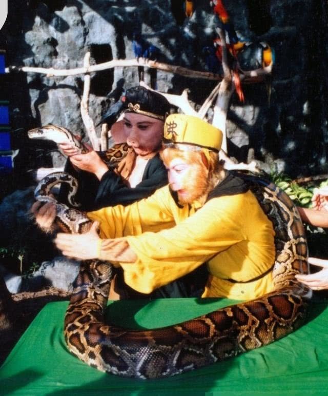 以前没特效拍戏有多拼蟒蛇精是真蟒蛇水浒传是真老虎