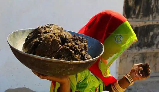 印度最"恶心"的节日,不断向别人身上扔屎,被砸中后还十分开心