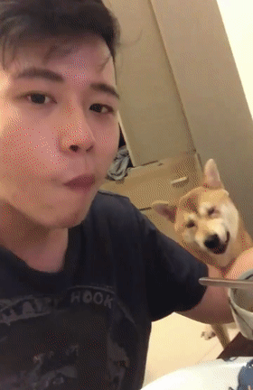 280_432竖版 竖屏gif 动态图 动图