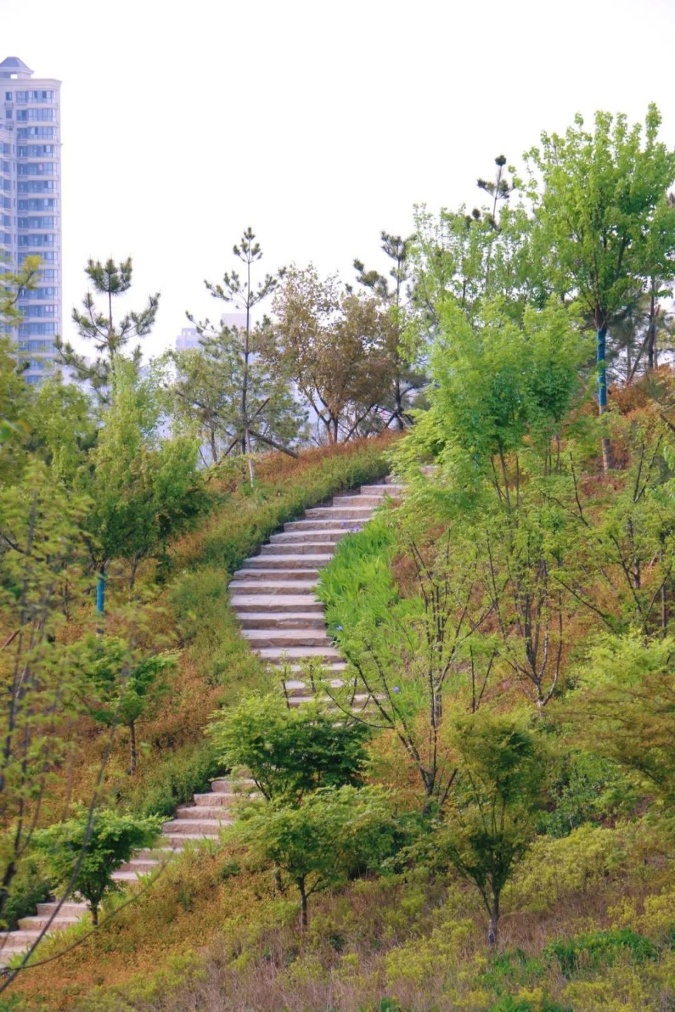 城南最大湿地公园开了!实拍102张高清美图!附详细逛拍攻略!