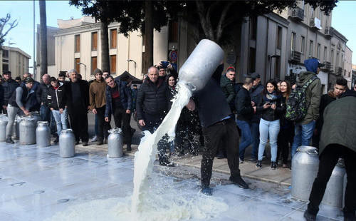 美国农场主为何宁愿把牛奶倒掉,也不分给穷人?专家:想分却不能