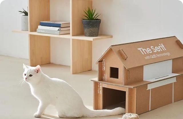 快递的纸箱不要扔,剪裁组装后变猫咪别墅