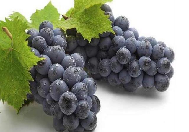 孕期吃葡萄对胎儿有益,但这样吃可能会伤到胎儿,这几点要注意好