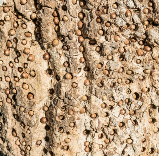 你让我感到起鸡皮疙瘩(吓得我鸡皮疙瘩都起来了) 你让我感到起鸡皮疙瘩(吓得我鸡皮疙瘩都起来了)