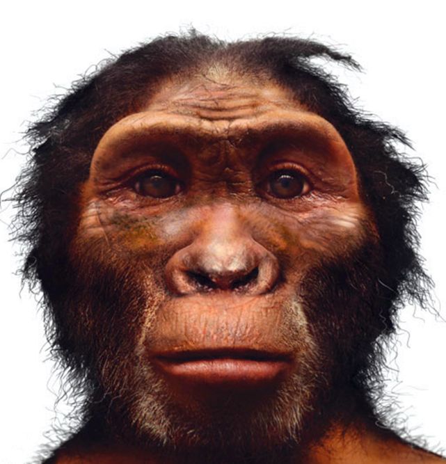 在地球上曾生活过许多人种为什么今天只剩下了智人种