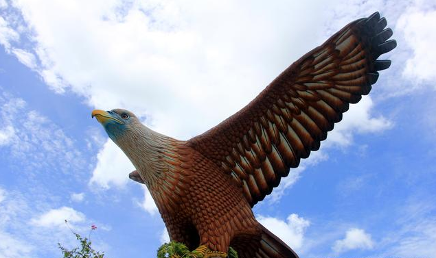 世界上"最大"的鹰,翅膀张开长14米,寿命可与人类比肩