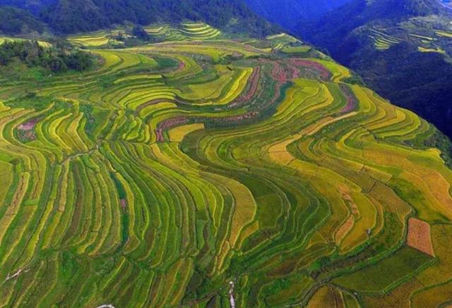我国唯一没有平原的省份省内大部分都是山地丘陵却县县通高速