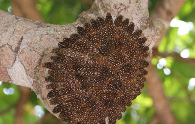 起鸡皮疙瘩有事吗(起鸡皮疙瘩有事吗图片)