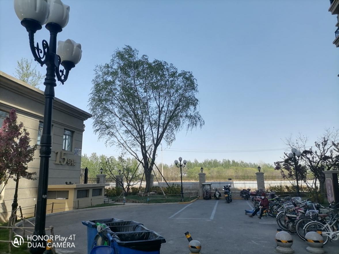 荣耀Play4T深度体验：价格与体验的最优解，荣耀做到了