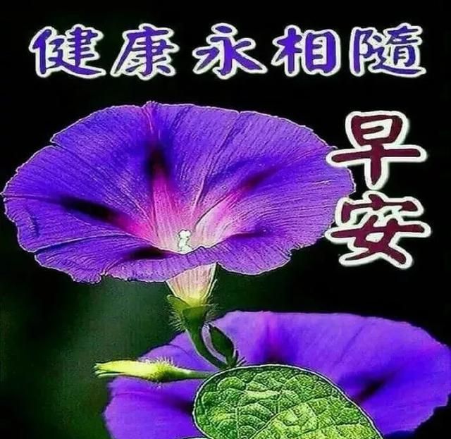 最漂亮早上好祝福短信大全早上好暖心问候语超好看的图片