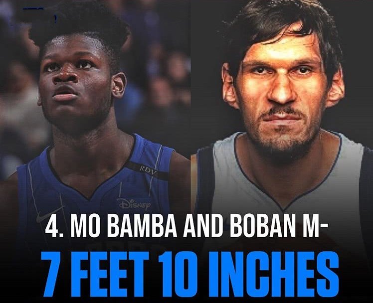 周琦上榜了,两届盖帽王2米59居首|波尔|周琦|盖帽王_新浪新闻