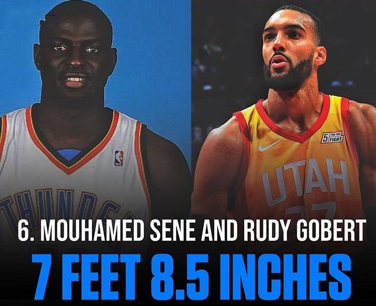 周琦上榜了,两届盖帽王2米59居首|波尔|周琦|盖帽王_新浪新闻