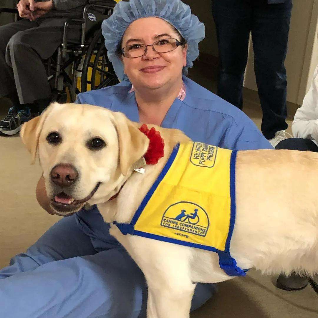 治疗犬常被大家忽略,对人类的付出却不小