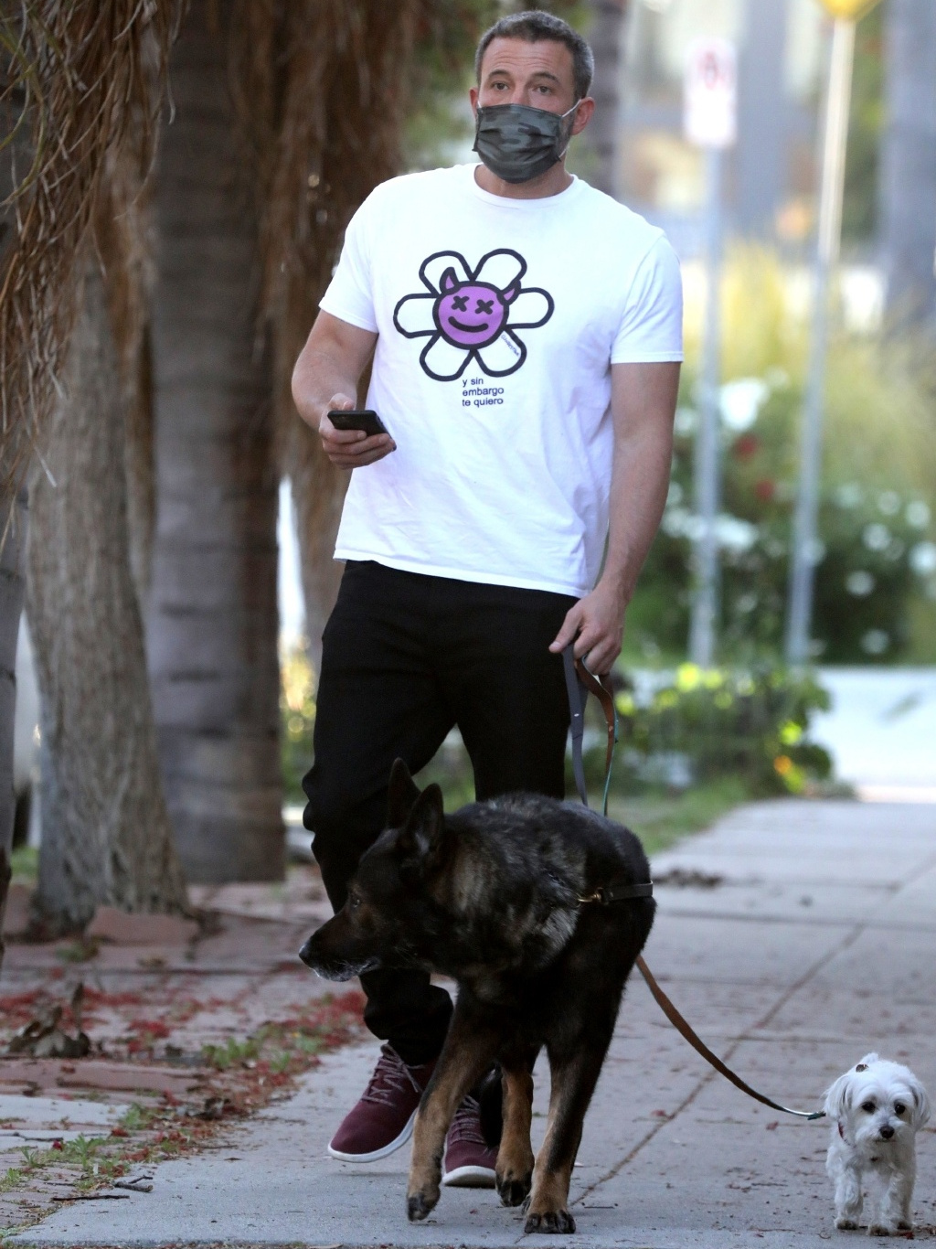 48岁本·阿弗莱克和女友腻歪了60天后,终于独自一人遛狗了