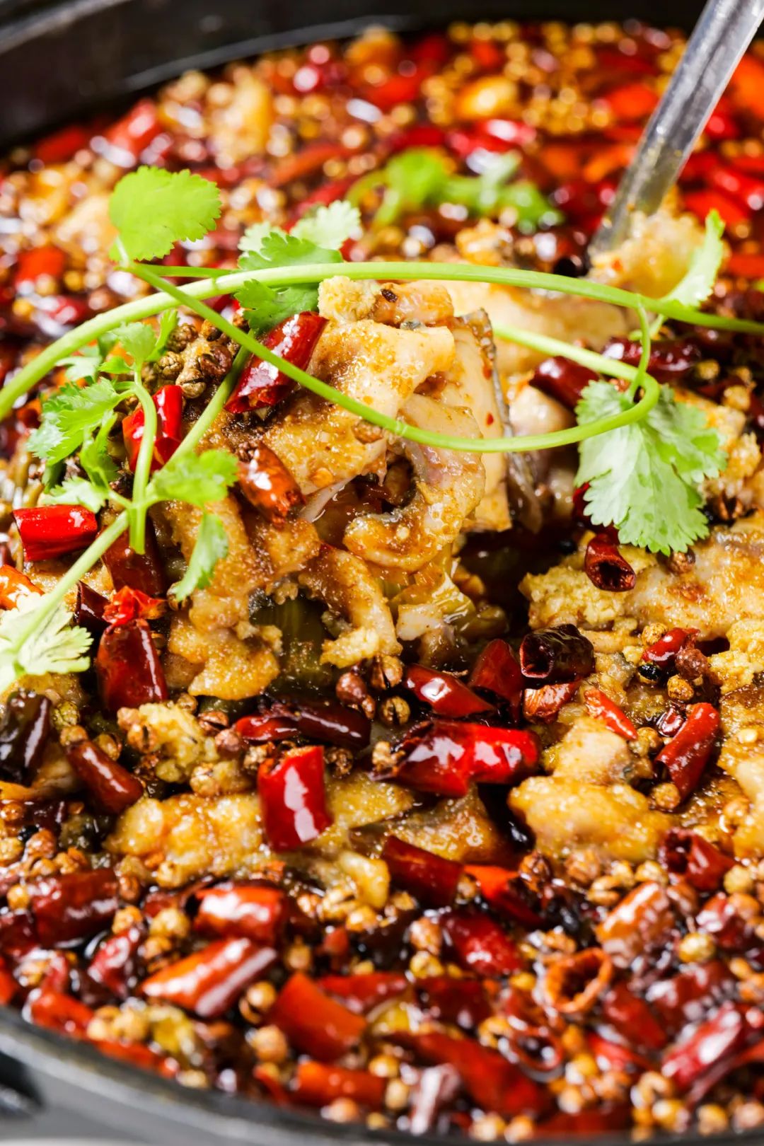 爆火3年"江湖"大佬!"越狱"龙虾,xxxl超大盆盆鱼. 就藏在南方商城!