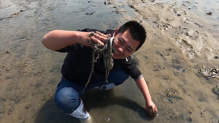 退大潮八爪鱼来了,抓到最后一只时把小斗累坏了,腿抓断了好几条