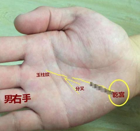 手相玉柱纹3种形态名利双收玉柱直上事业顺成