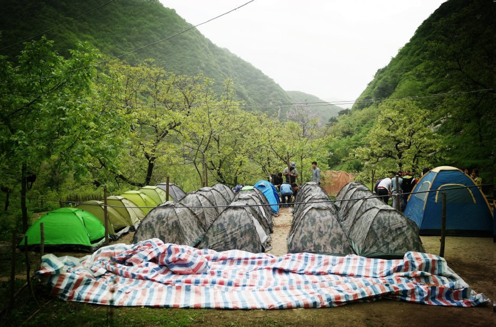 我的旅行回忆录:陕西56名大学生在秦岭体验户外露营