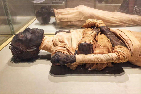 木乃伊会不会复活 木乃伊是怎么制作而成的?