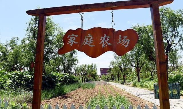 要么不吃要吃就吃生态猪肉家庭农场将迎来发展新契机