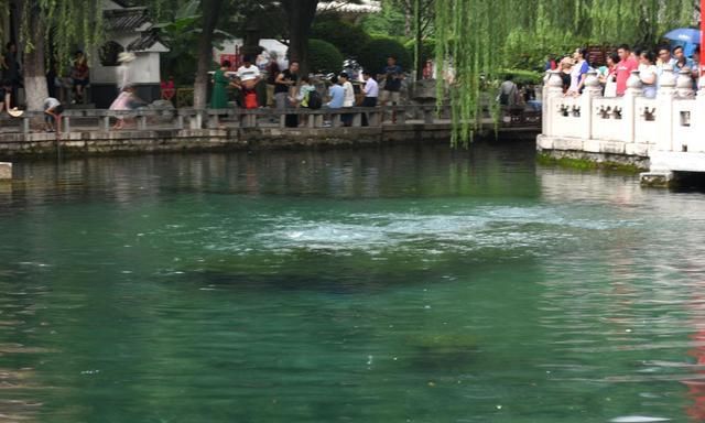 或将升为特大城市的地区,山东仅有2个名额,临沂、烟台愿望破灭
