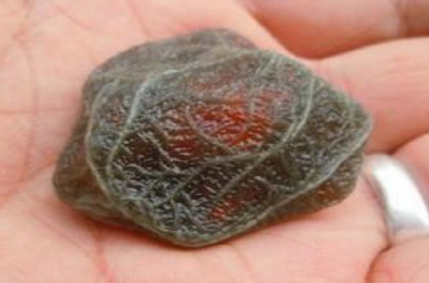 登山无意捡到一块普通的石头,却遭到大家哄抢,男子买房买车休闲区蓝鸢梦想 - Www.slyday.coM 登山无意捡到一块普通的石头,却遭到大家哄抢,男子买房买车休闲区蓝鸢梦想 - Www.slyday.coM