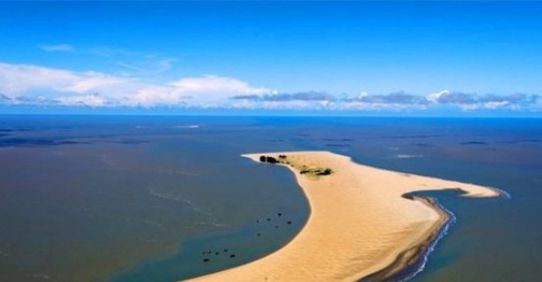 被五年级女孩发现,老师:小女孩是真厉害|岛屿|沙岛|人类_新浪新闻