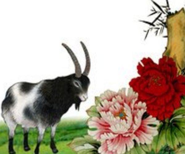 属羊|运势|好运_新浪新闻