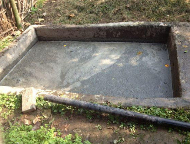 主人带阿拉回村,没想它竟然跑粪坑洗澡玩,主人直接崩溃了