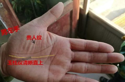 手相玉柱纹3种形态名利双收玉柱直上事业顺成