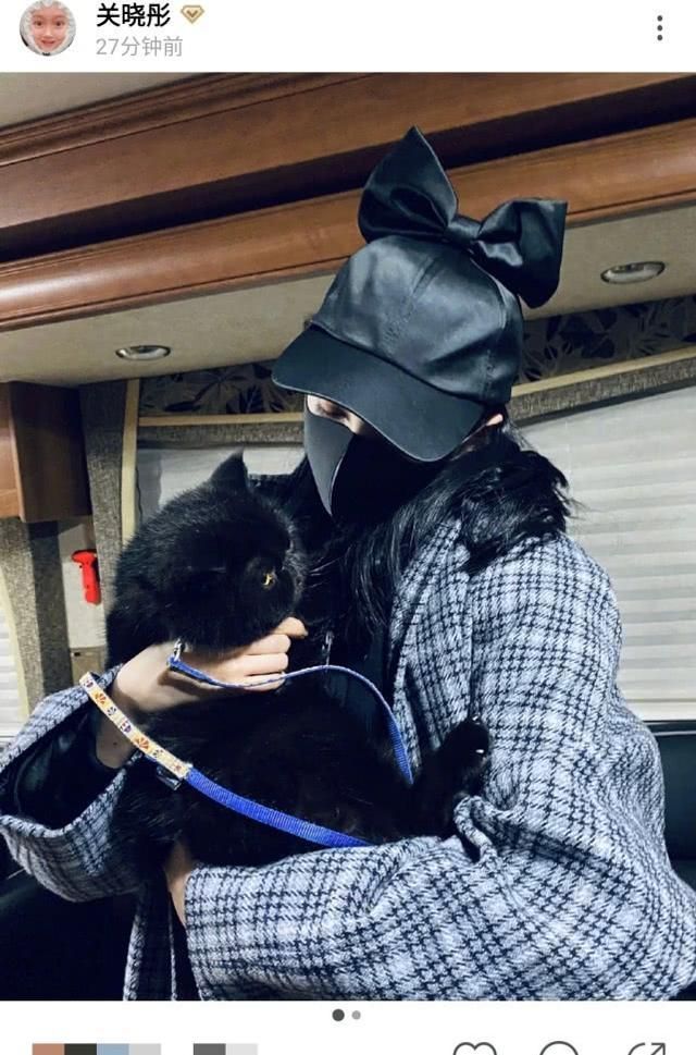 关晓彤晒抱猫照,头戴蝴蝶结帽被赞太可爱