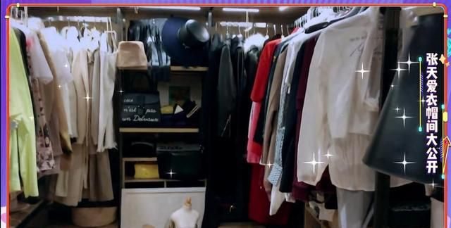 同样都是衣帽间,差别不是一般大,虞书欣的大