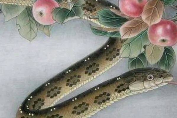 5月份惹不起的4大生肖,财运大涨,鸿运当头,双喜临门|财运|生肖|生肖蛇