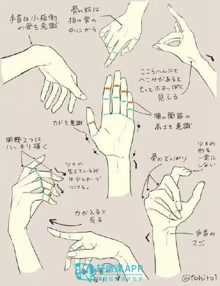 动漫手势画法教程手的画法参考素材