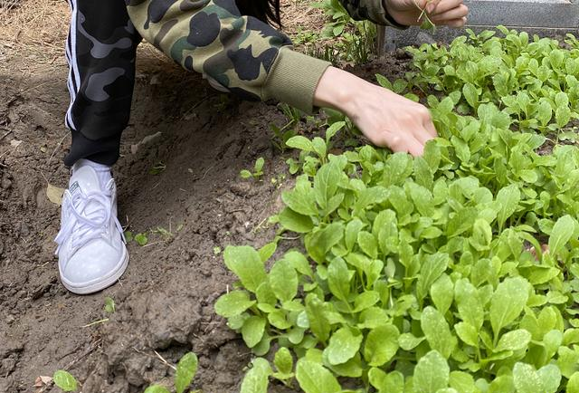 杨颖晒"接地气"生活照,看见鞋子上的小细节后,网友直言是摆拍